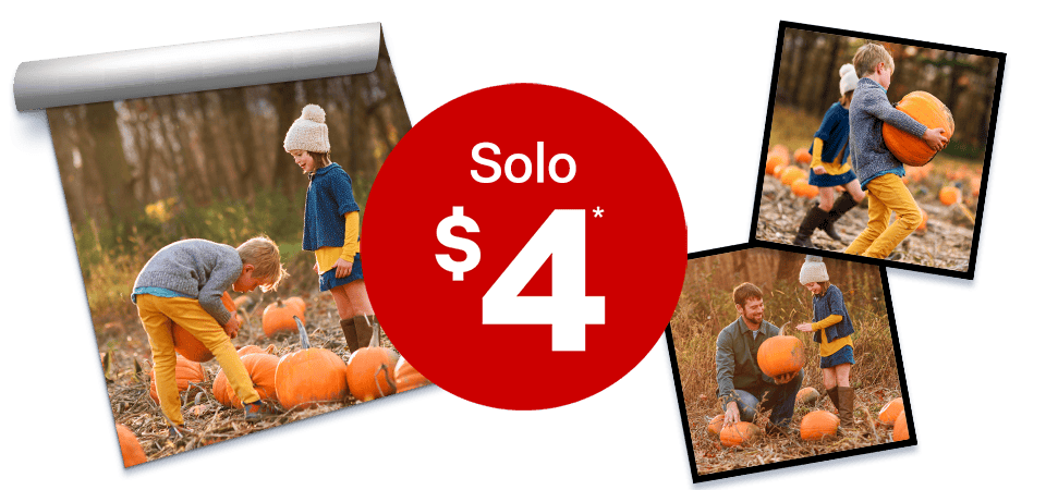 Solo por $4: pósteres reposicionables de 11 por 14 con fotos y paneles para pared, donde se muestra a una familia recogiendo calabazas.